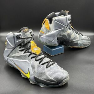 Nike LeBron 12 'Flight'